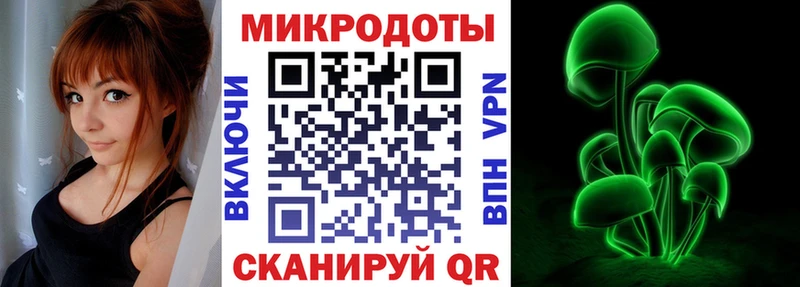 KRAKEN ONION  цены   Саранск  Псилоцибиновые грибы GOLDEN TEACHER 