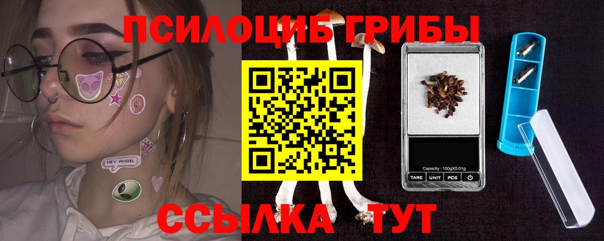 Галлюциногенные грибы MAGIC MUSHROOMS  Вход с VPN  Псилоцибиновые грибы прущие грибы  Саранск 